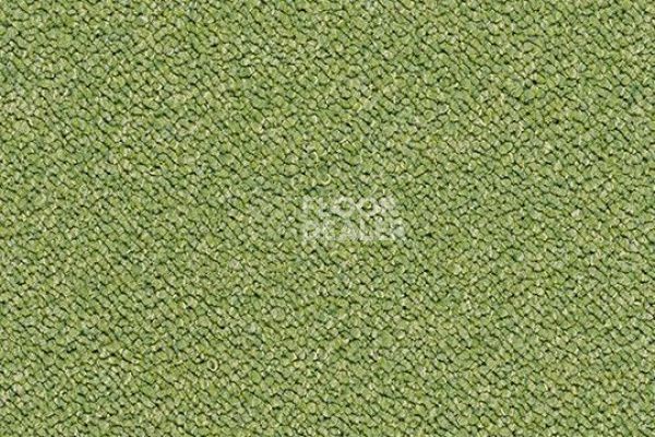 Ковровая плитка Tessera Chroma 3617 botanical фото 1 | FLOORDEALER
